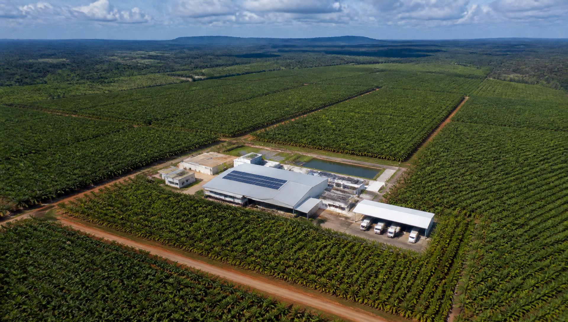 Sustainability Is Becoming a Business Requirement, Not a Marketing Strategy
